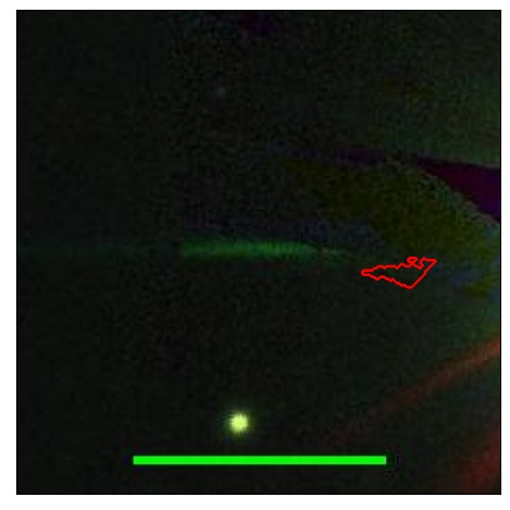 1628_091.0_contour_z