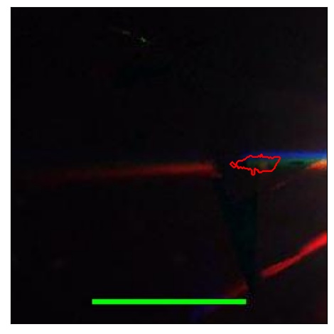 1636_098.0_contour_g