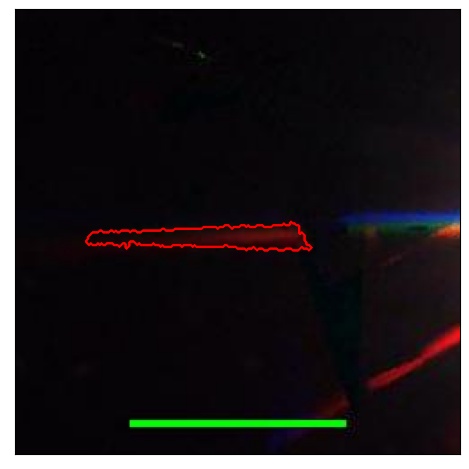 1636_098.0_contour_i