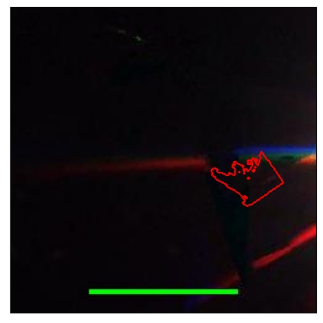 1636_098.0_contour_y