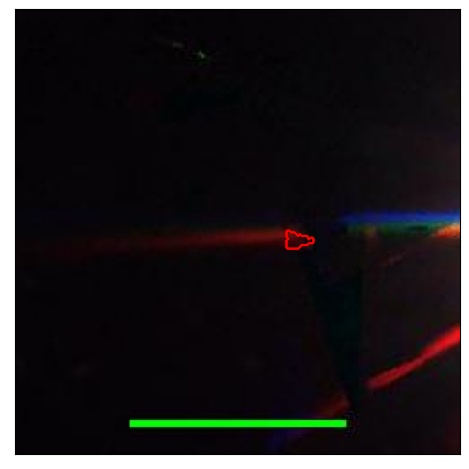 1636_098.0_contour_z