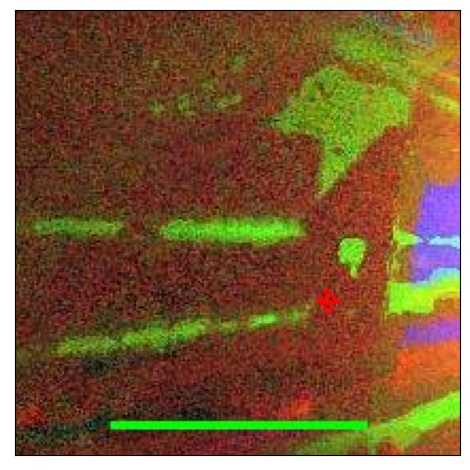 1640_016.0_contour_y