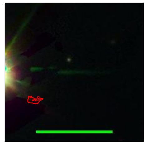 1642_073.0_contour_g