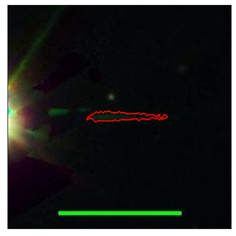 1642_073.0_contour_r