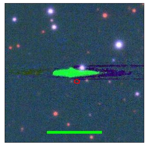 1655_043.0_contour_y