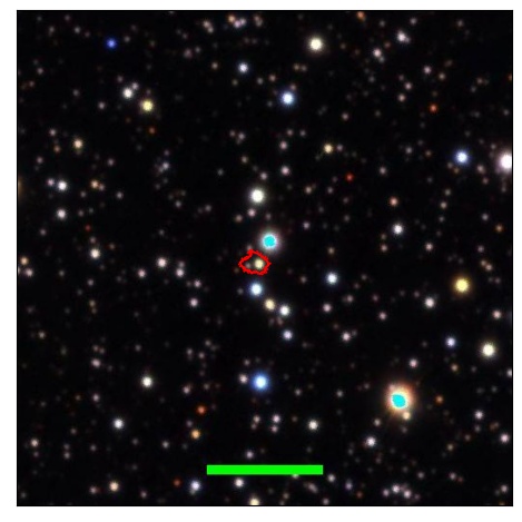 1662_081.1_contour_y