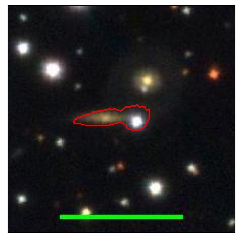 1664_031.0_contour_r