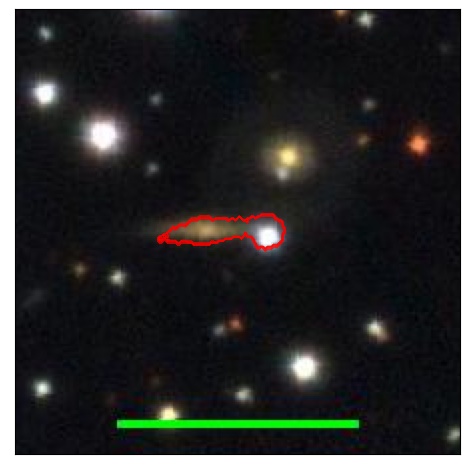 1664_031.0_contour_y