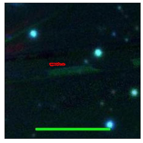 1665_071.0_contour_z