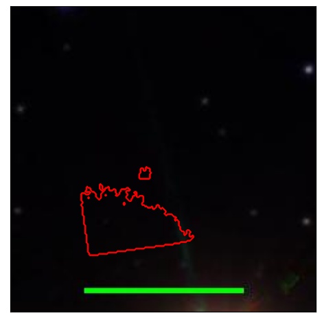 1667_049.0_contour_y