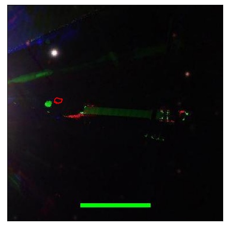 1670_067.0_contour_g