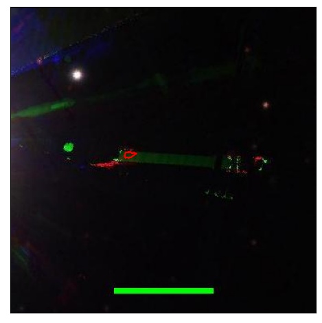 1670_067.0_contour_i