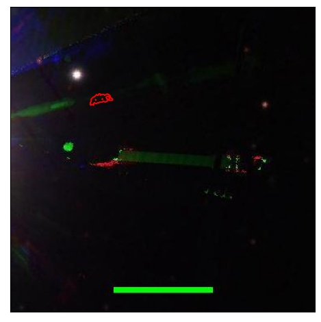 1670_067.0_contour_y