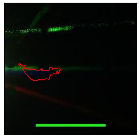 1686_091.0_contour_g