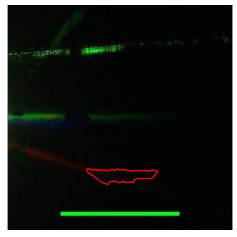 1686_091.0_contour_i