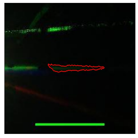 1686_091.0_contour_r