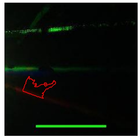 1686_091.0_contour_y