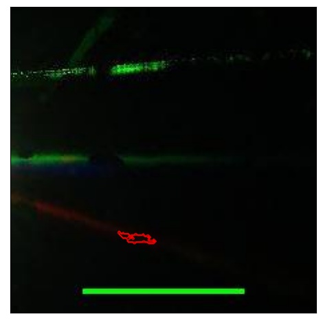 1686_091.0_contour_z