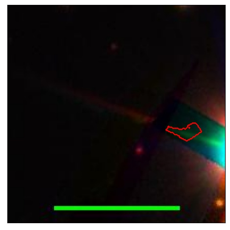 1691_090.0_contour_r