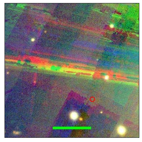 1694_010.0_contour_g