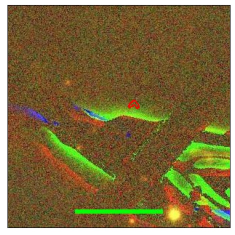 1694_063.0_contour_g