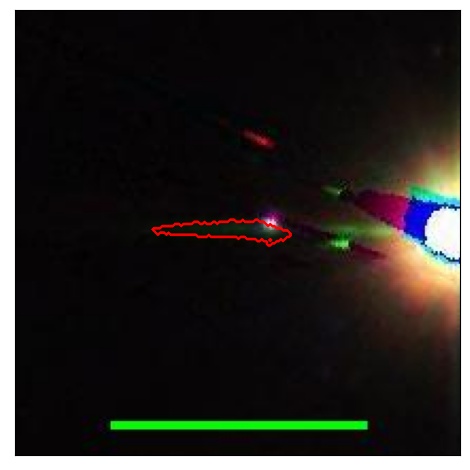 1697_033.0_contour_r