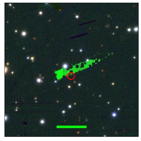 1699_013.0_contour_g