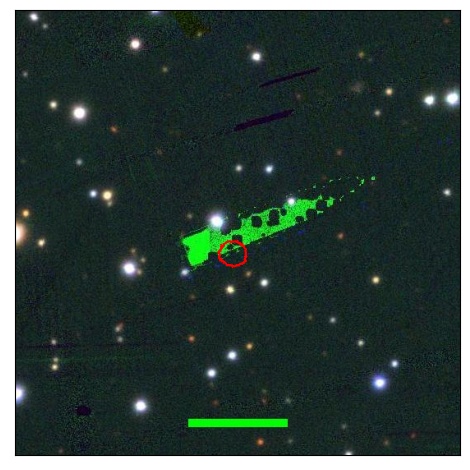 1699_013.0_contour_i