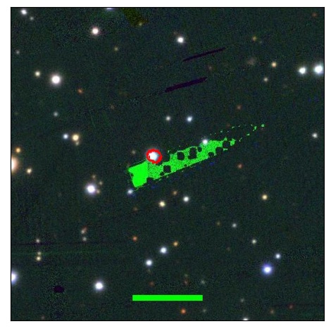 1699_013.0_contour_r