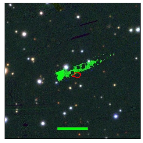 1699_013.0_contour_y