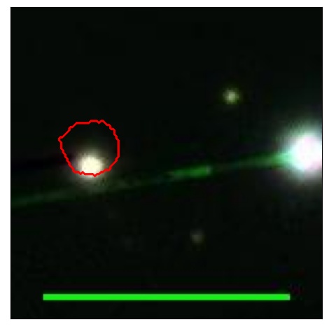 1699_084.0_contour_g