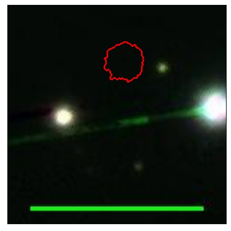 1699_084.0_contour_y