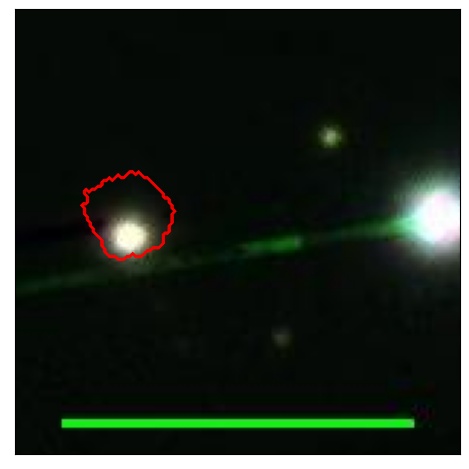 1699_084.0_contour_z