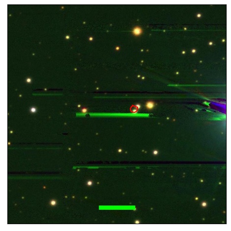 1699_084.1_contour_g