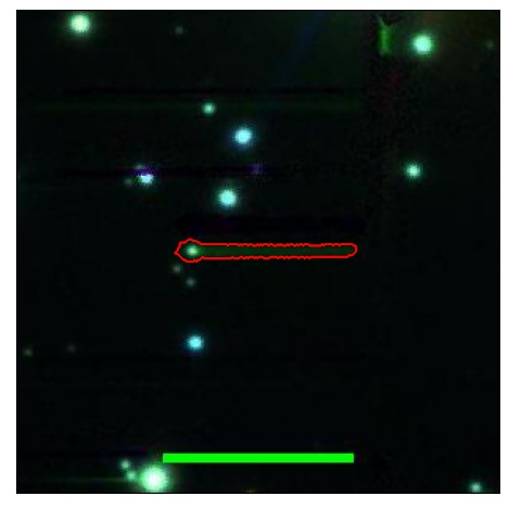 1701_032.0_contour_r