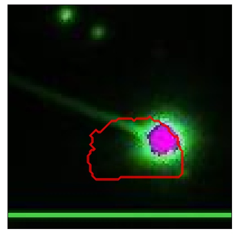 1702_083.0_contour_z