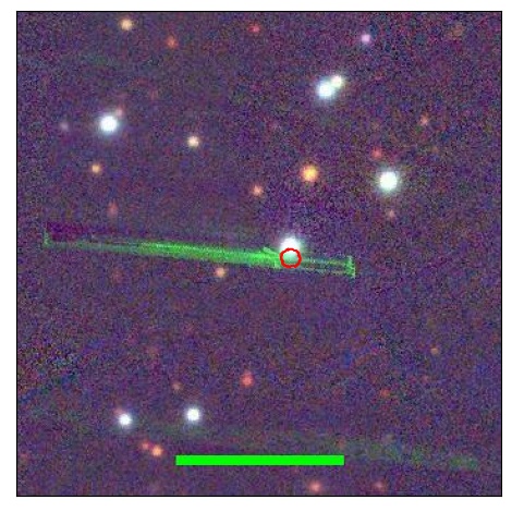 1703_025.0_contour_y