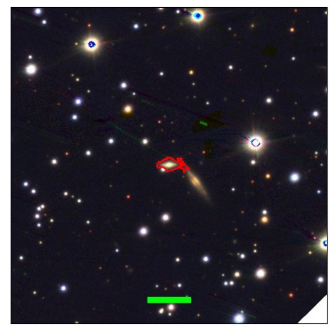 1703_095.1_contour_r