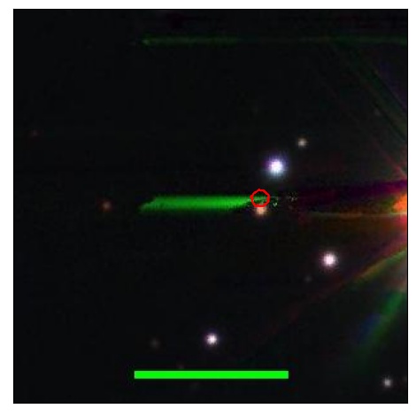 1704_033.0_contour_y