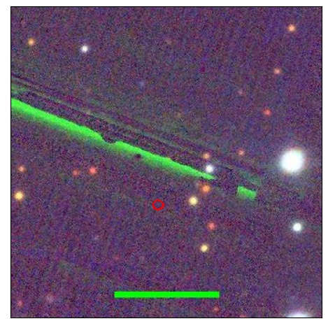 1705_099.1_contour_g