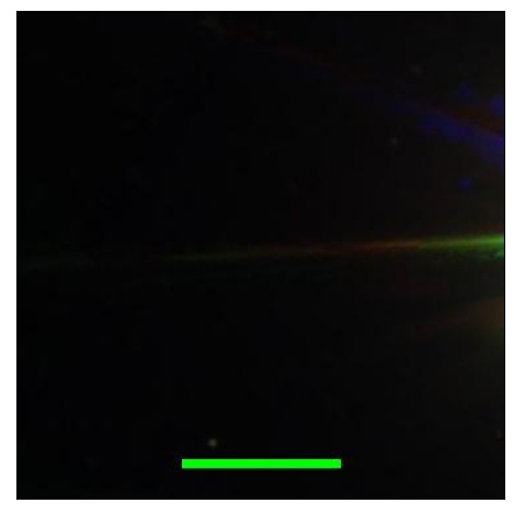 1707_037.0_contour_i