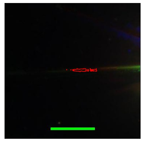 1707_037.0_contour_r