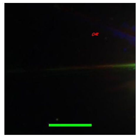 1707_037.0_contour_y