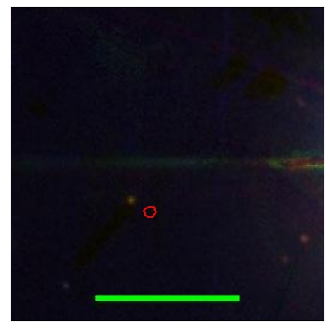 1708_049.0_contour_i