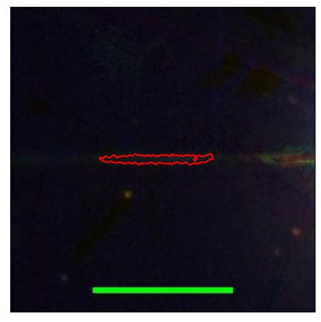 1708_049.0_contour_r