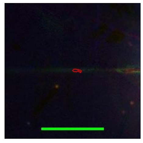 1708_049.0_contour_y