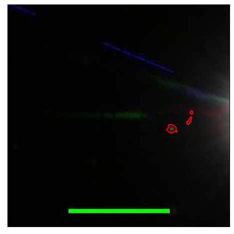 1709_094.1_contour_g