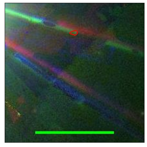 1715_084.1_contour_r