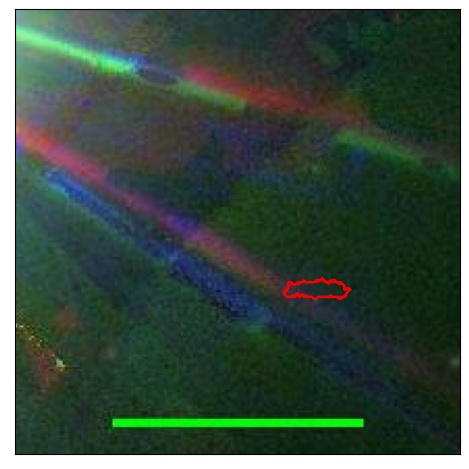 1715_084.1_contour_z