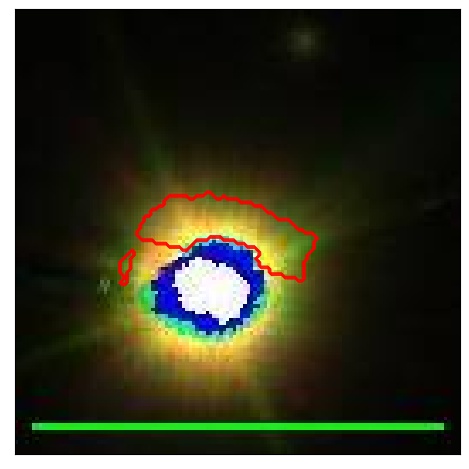 1721_085.0_contour_r